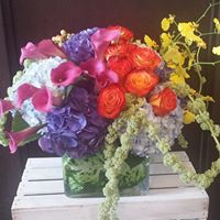 The very best of our shops design